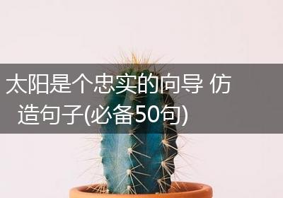 太阳是个忠实的向导 仿造句子(必备50句)
