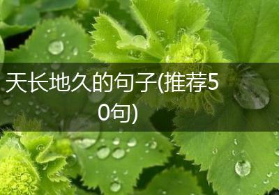 天长地久的句子(推荐50句)
