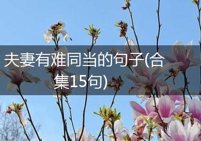 夫妻有难同当的句子(合集15句)