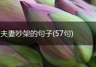夫妻吵架的句子(57句)