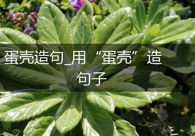 蛋壳造句_用“蛋壳”造句子