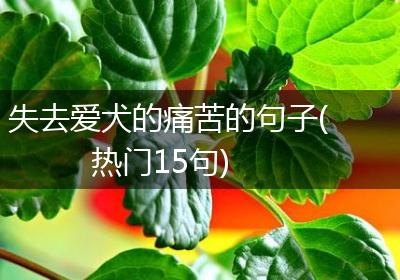 失去爱犬的痛苦的句子(热门15句)