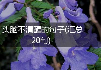 头脑不清醒的句子(汇总20句)