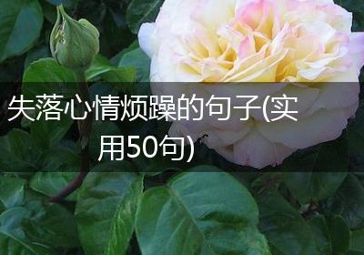 失落心情烦躁的句子(实用50句)