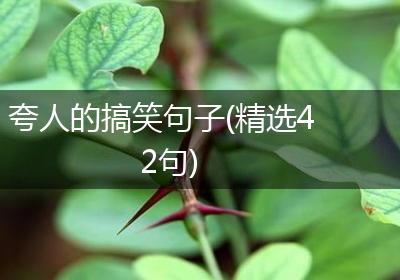 夸人的搞笑句子(精选42句)