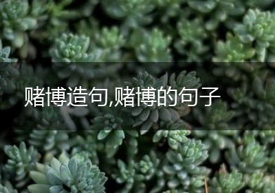 赌博造句,赌博的句子