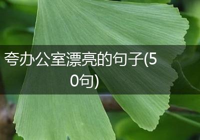 夸办公室漂亮的句子(50句)