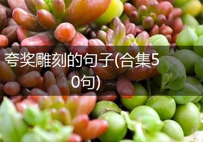 夸奖雕刻的句子(合集50句)