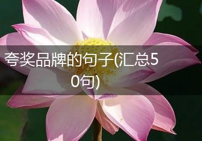 夸奖品牌的句子(汇总50句)