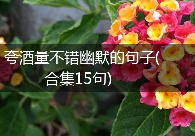 夸酒量不错幽默的句子(合集15句)