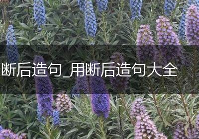 断后造句_用断后造句大全