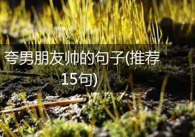 夸男朋友帅的句子(推荐15句)