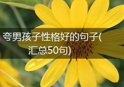 夸男孩子性格好的句子(汇总50句)