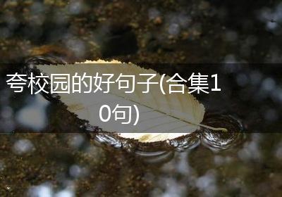夸校园的好句子(合集10句)