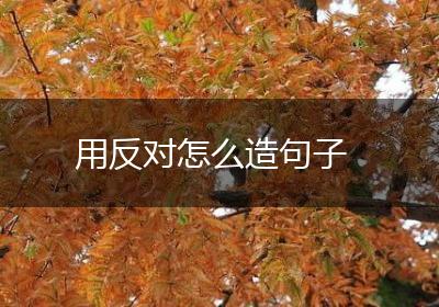 用反对怎么造句子