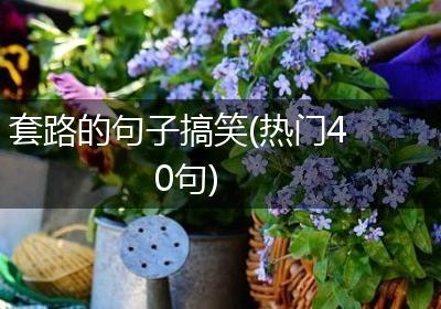 套路的句子搞笑(热门40句)