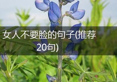 女人不要脸的句子(推荐20句)