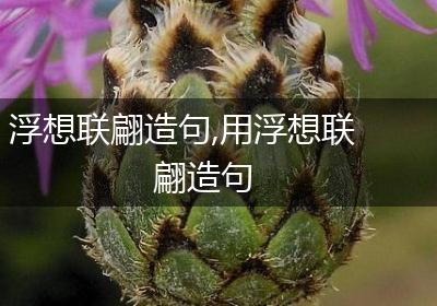浮想联翩造句,用浮想联翩造句