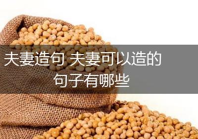 夫妻造句 夫妻可以造的句子有哪些