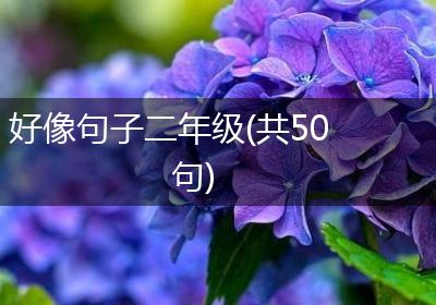 好像句子二年级(共50句)