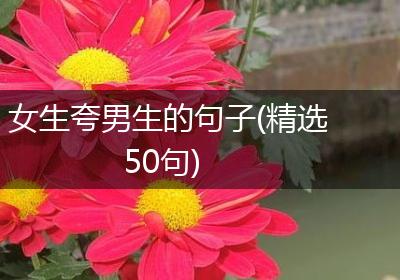 女生夸男生的句子(精选50句)