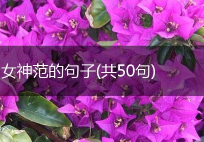 女神范的句子(共50句)