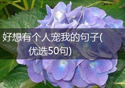 好想有个人宠我的句子(优选50句)