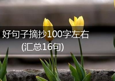 好句子摘抄100字左右(汇总16句)