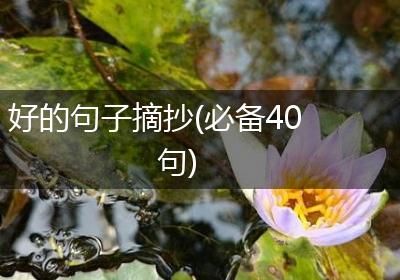 好的句子摘抄(必备40句)