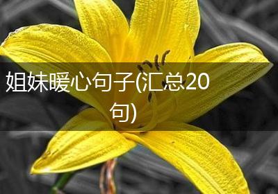 姐妹暖心句子(汇总20句)