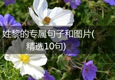 姓黎的专属句子和图片(精选10句)
