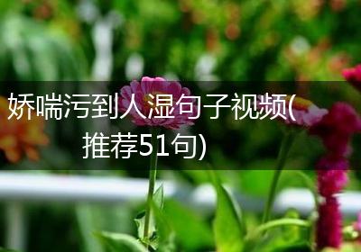 娇喘污到人湿句子视频(推荐51句)