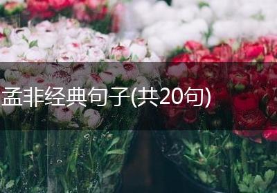 孟非经典句子(共20句)