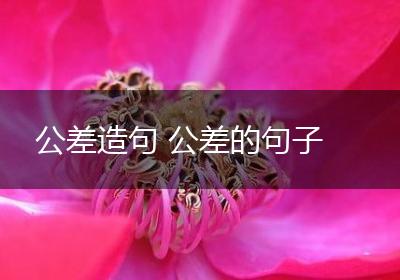 公差造句 公差的句子