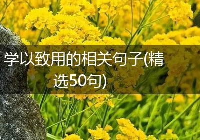 学以致用的相关句子(精选50句)