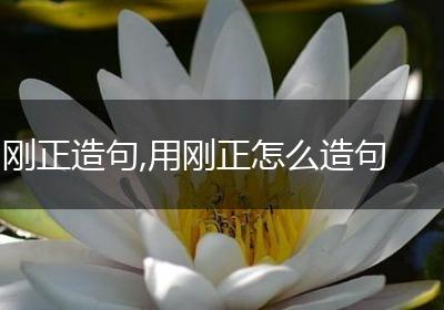 刚正造句,用刚正怎么造句