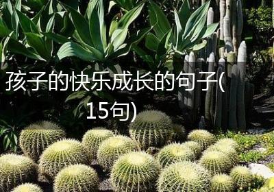孩子的快乐成长的句子(15句)