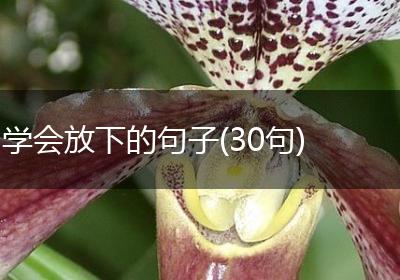 学会放下的句子(30句)