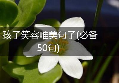孩子笑容唯美句子(必备50句)