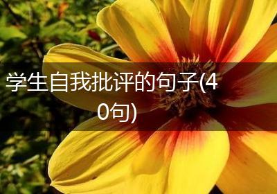 学生自我批评的句子(40句)