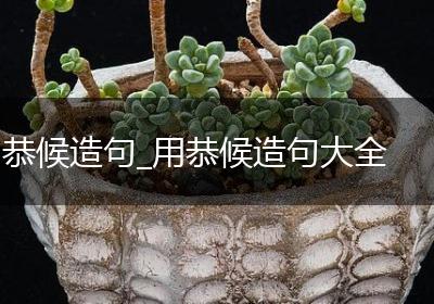 恭候造句_用恭候造句大全