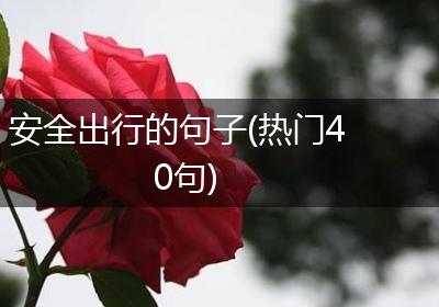 安全出行的句子(热门40句)