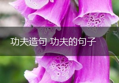 功夫造句 功夫的句子