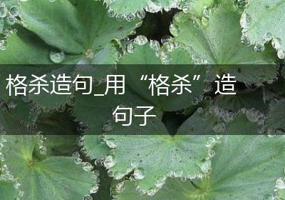 格杀造句_用“格杀”造句子