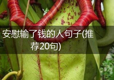 安慰输了钱的人句子(推荐20句)