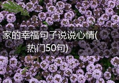 家的幸福句子说说心情(热门50句)