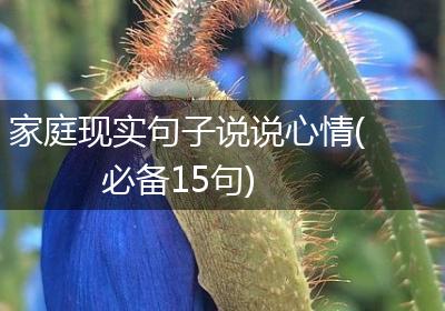 家庭现实句子说说心情(必备15句)
