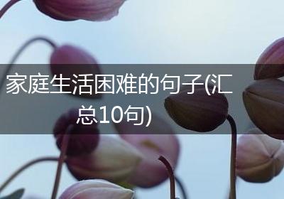 家庭生活困难的句子(汇总10句)