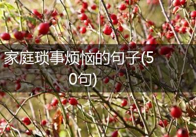 家庭琐事烦恼的句子(50句)