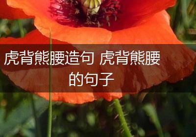 虎背熊腰造句 虎背熊腰的句子